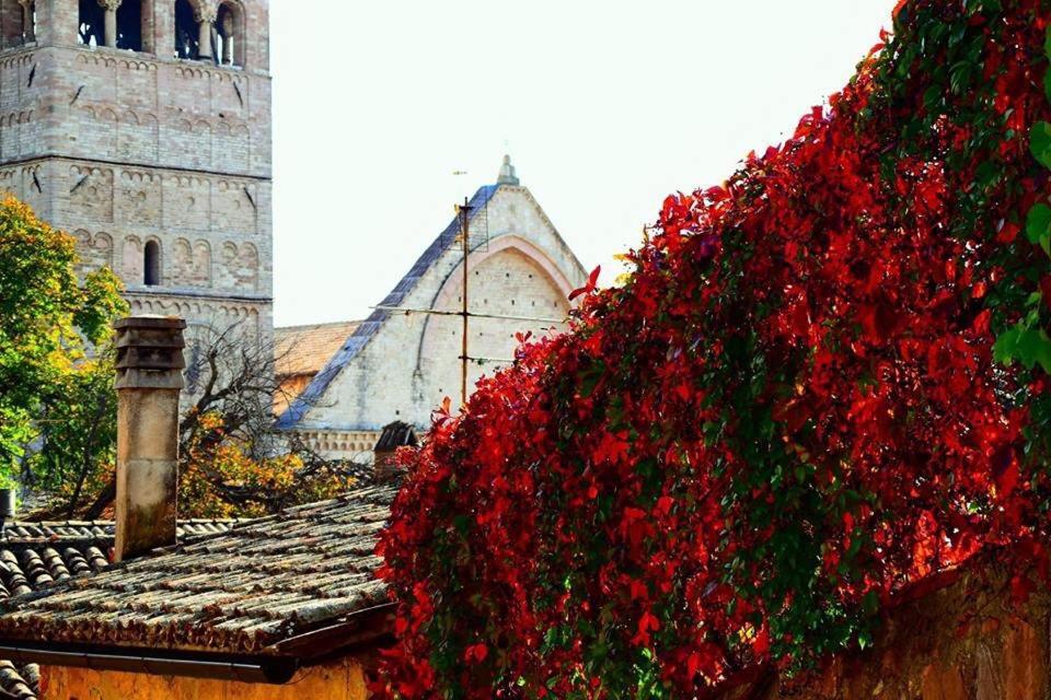 Apartments Aurora Delle Rose Assisi Bagian luar foto